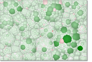 Example TreeMap Voronoi layout
